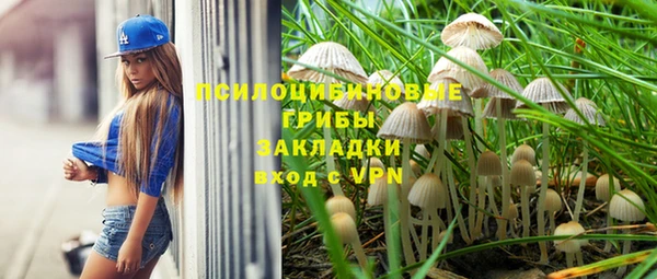 молекула духа Аркадак