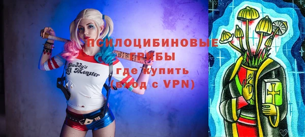 молекула духа Аркадак
